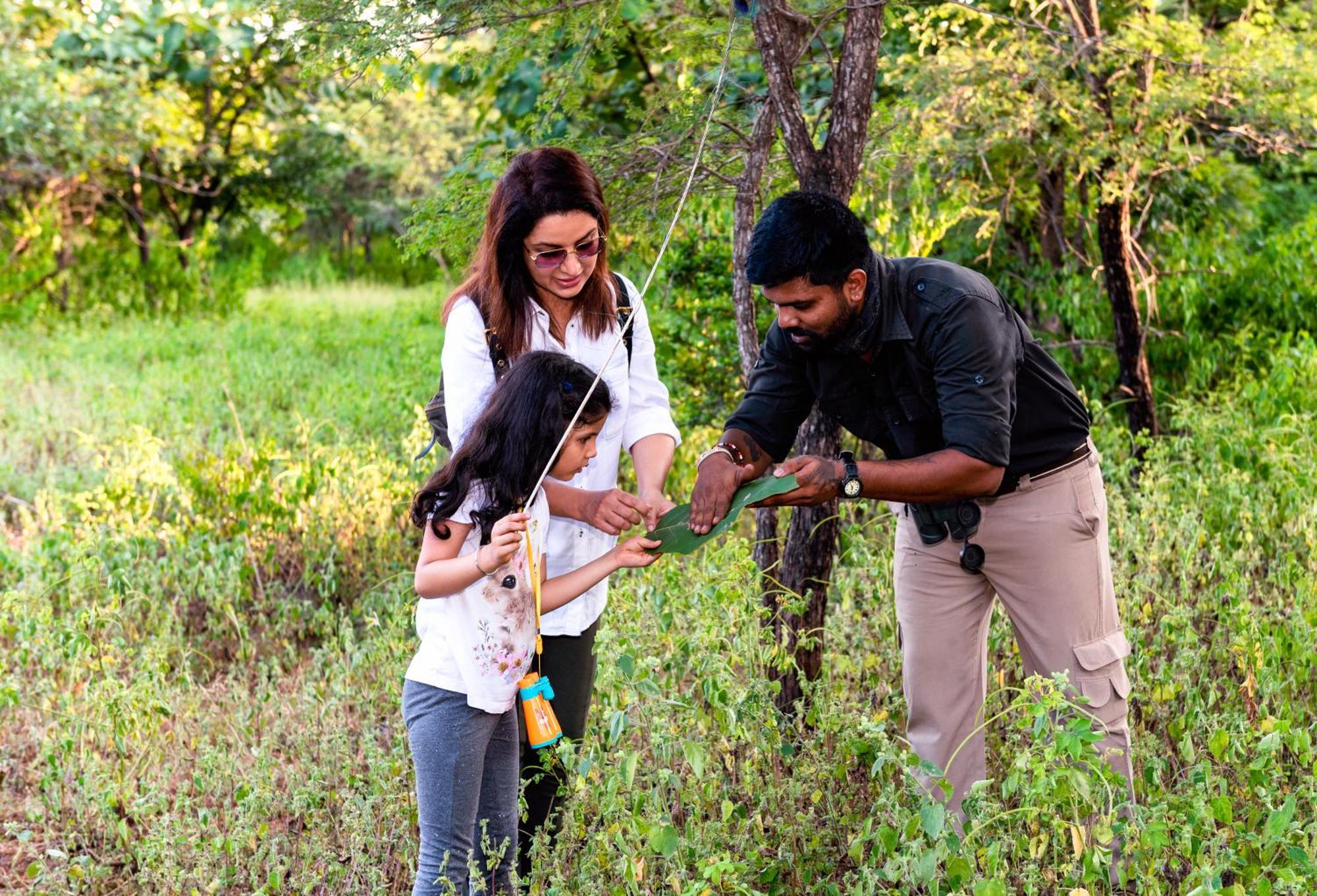 Pashan Garh Panna National Park - A Taj Safari Buitenkant foto